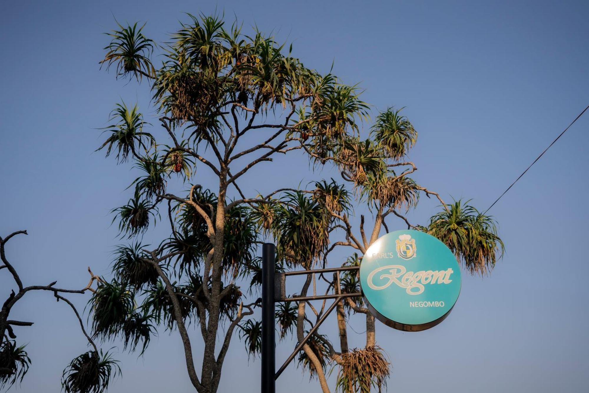 Earl'S Regent Negombo Hotel Exterior foto